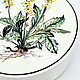 Винтаж: Шкатулка Villeroy&Boch Botanica D13 cм Agrimonia Eupatoria. Шкатулки винтажные. Olika Vintage. Интернет-магазин Ярмарка Мастеров.  Фото №2