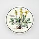 Винтаж: Шкатулка Villeroy&Boch Botanica D13 cм Agrimonia Eupatoria, Шкатулки винтажные, Москва,  Фото №1