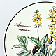 Заказать Винтаж: Шкатулка Villeroy&Boch Botanica D13 cм Agrimonia Eupatoria. Olika Vintage. Ярмарка Мастеров. . Шкатулки винтажные Фото №3