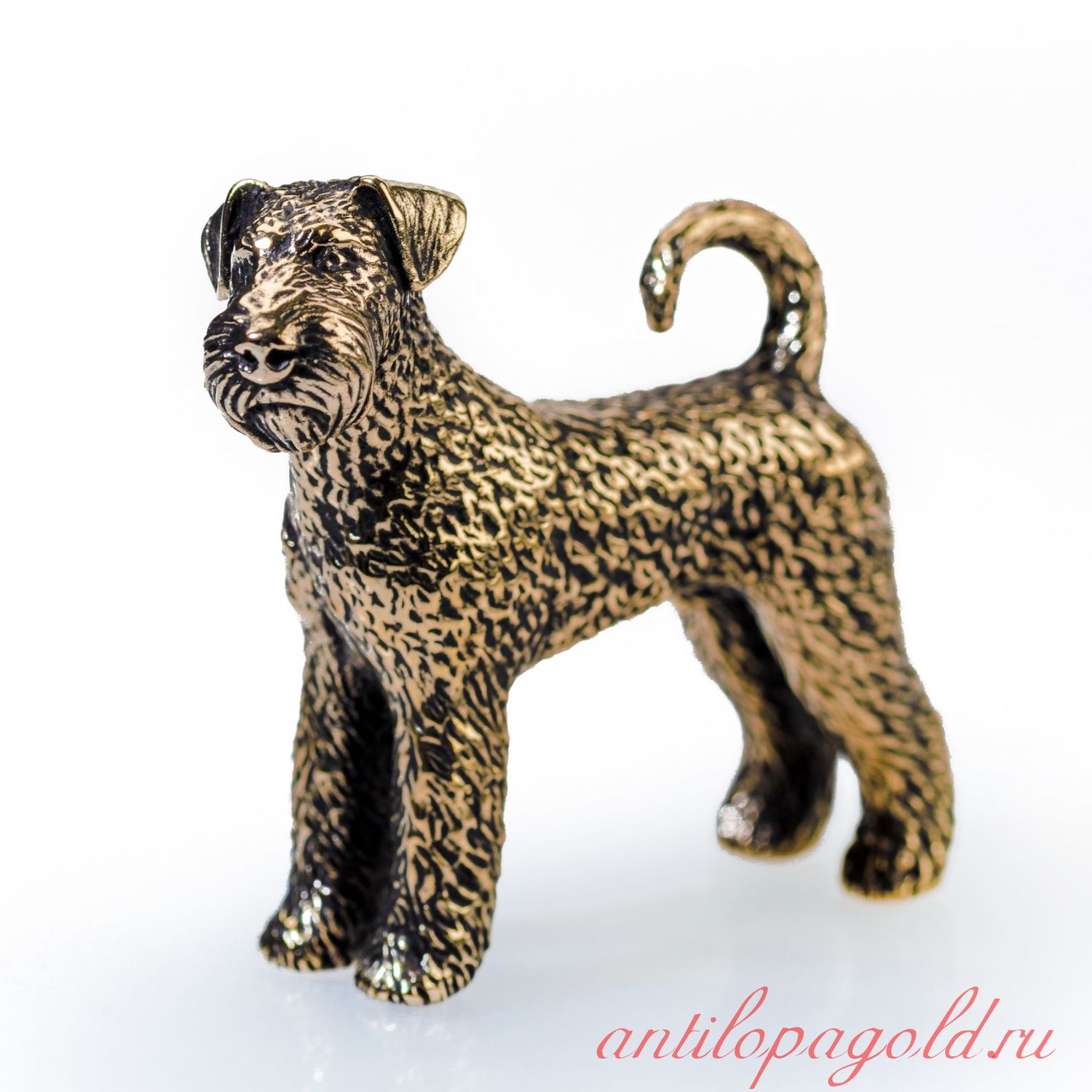 Эрдельтерьер Купить Щенка В Казани