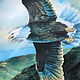 Тарелка Белоголовый Орлан в Полёте: Спасите орла, гордого и свободного. Тарелки декоративные. В Кладовке. Ярмарка Мастеров.  Фото №4
